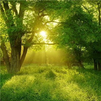 NG体育下载手机版截图